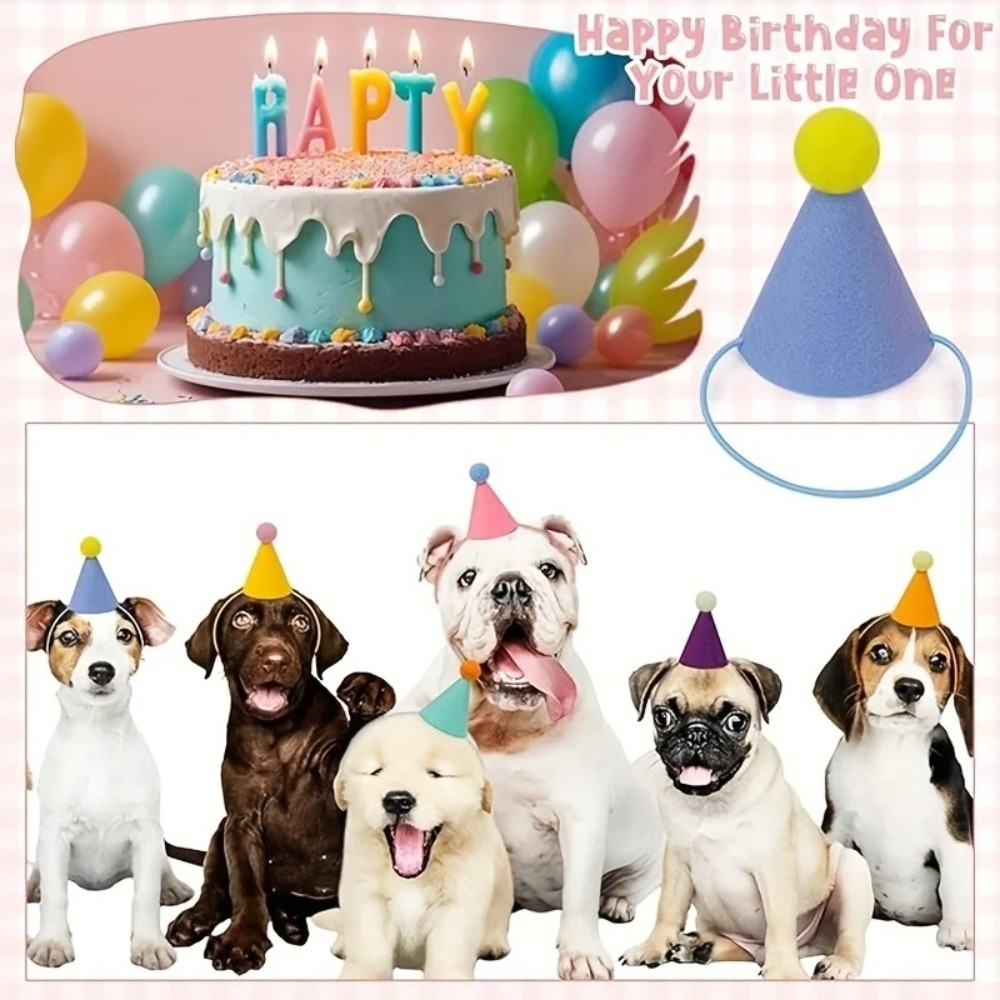 Novo Conjunto de 6 Chapéus de  - Party Hat Cone avaliação e preço